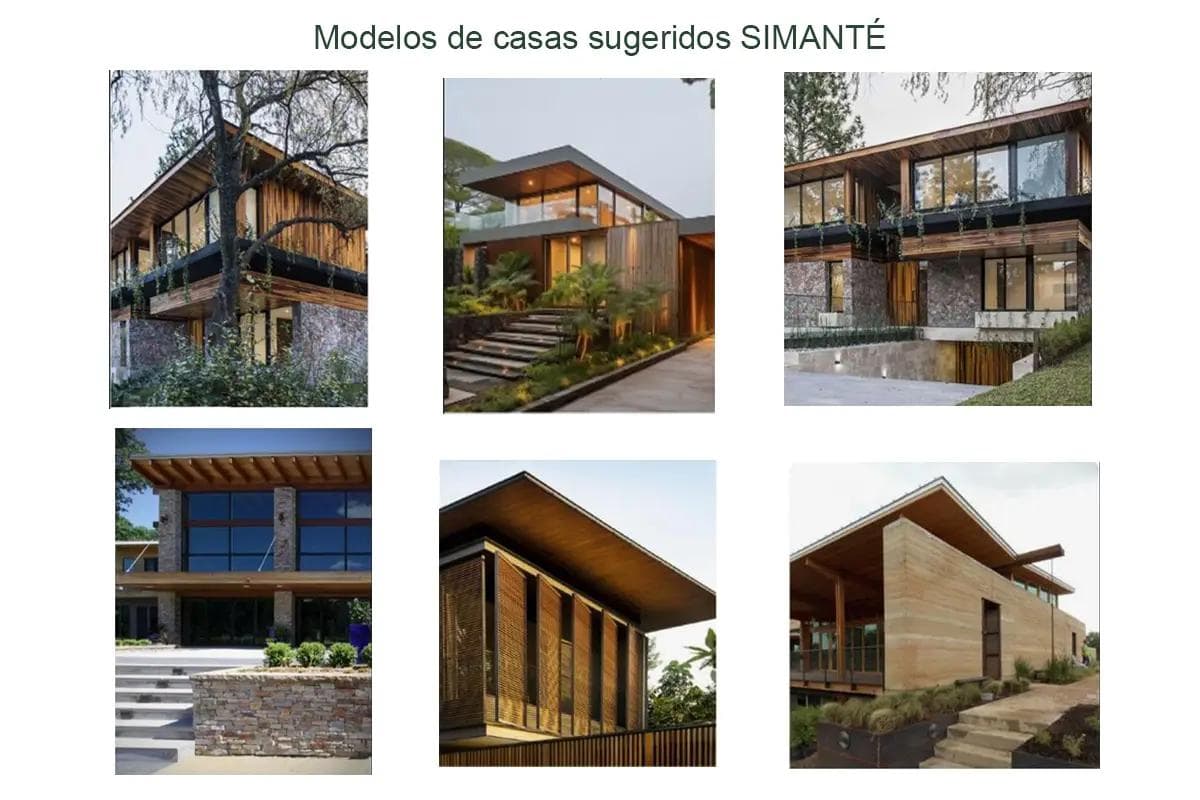 Lote Muestra - 3