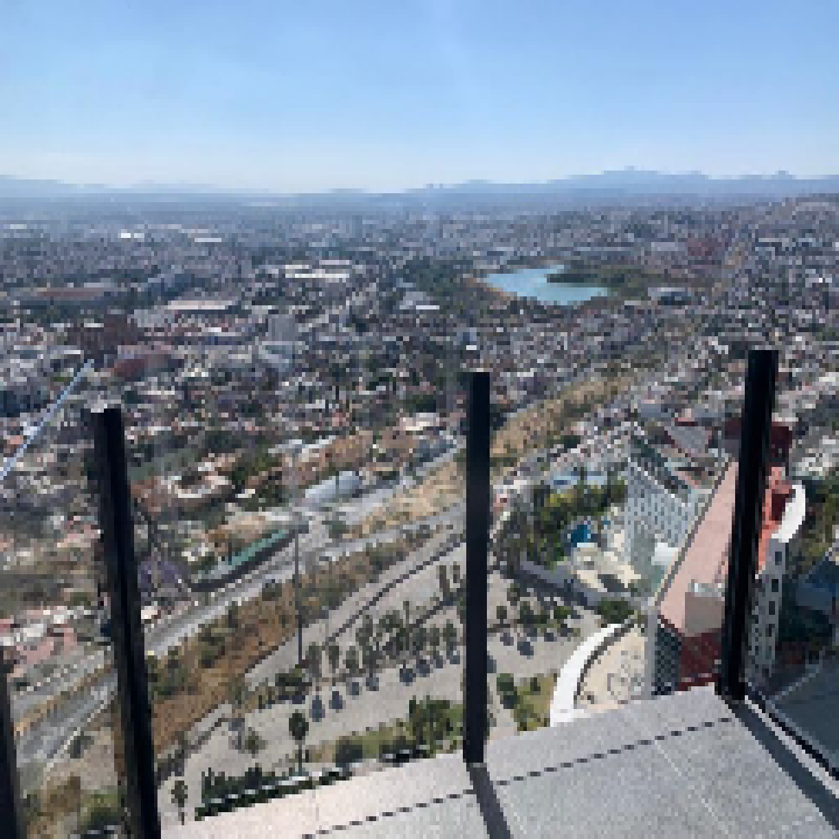 Renta de Departamento en Zona Diamante - 11